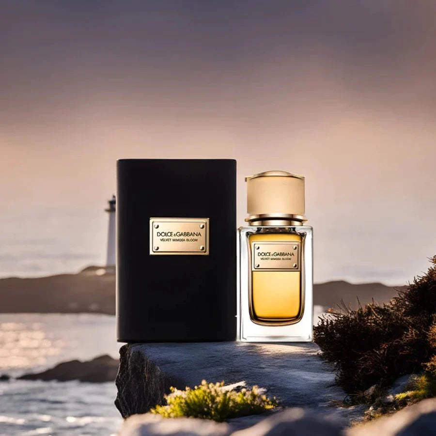 Dolce & Gabbana Velvet Mimosa Bloom EDP | My Perfume Shop Australia