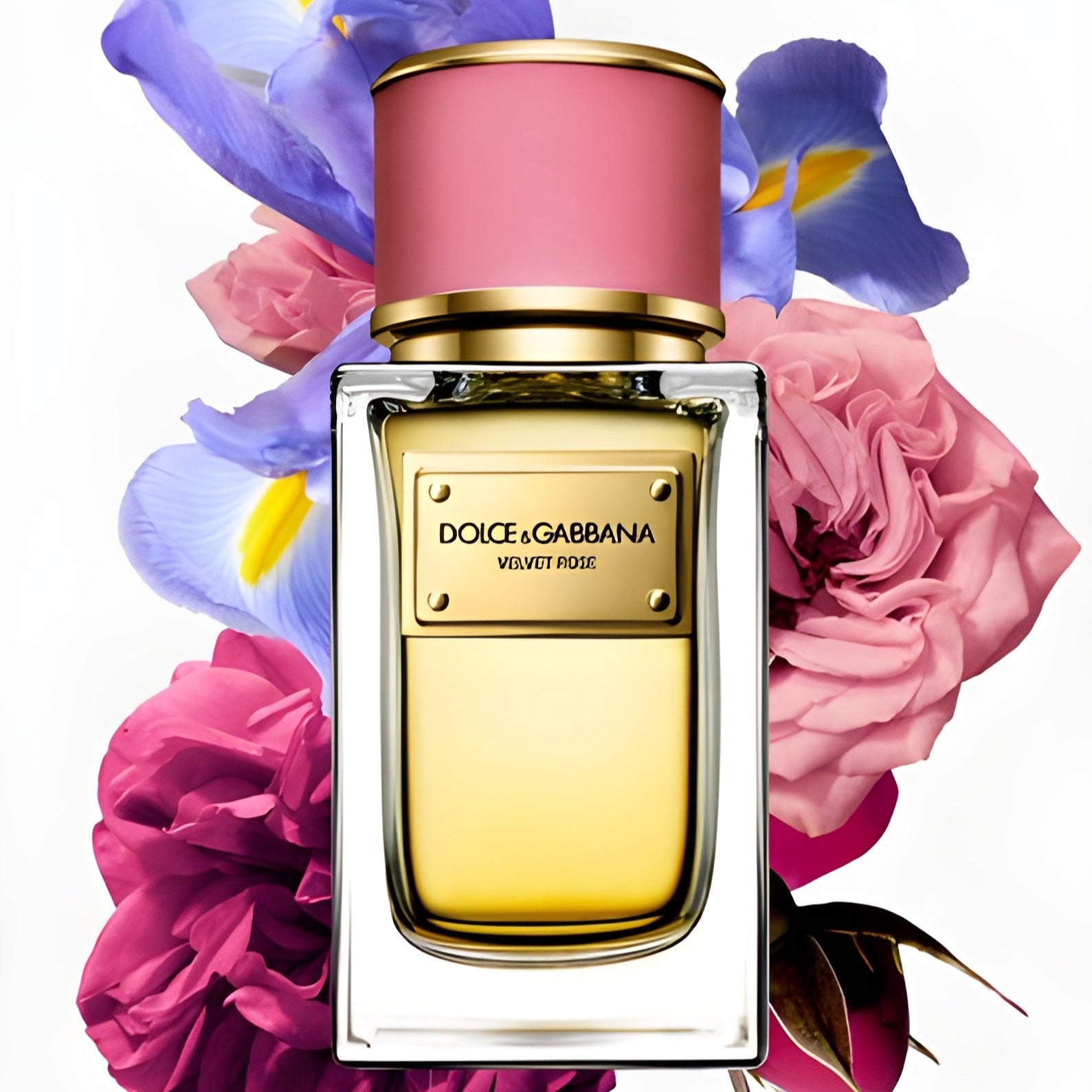 Dolce & Gabbana Velvet Rose EDP | My Perfume Shop Australia