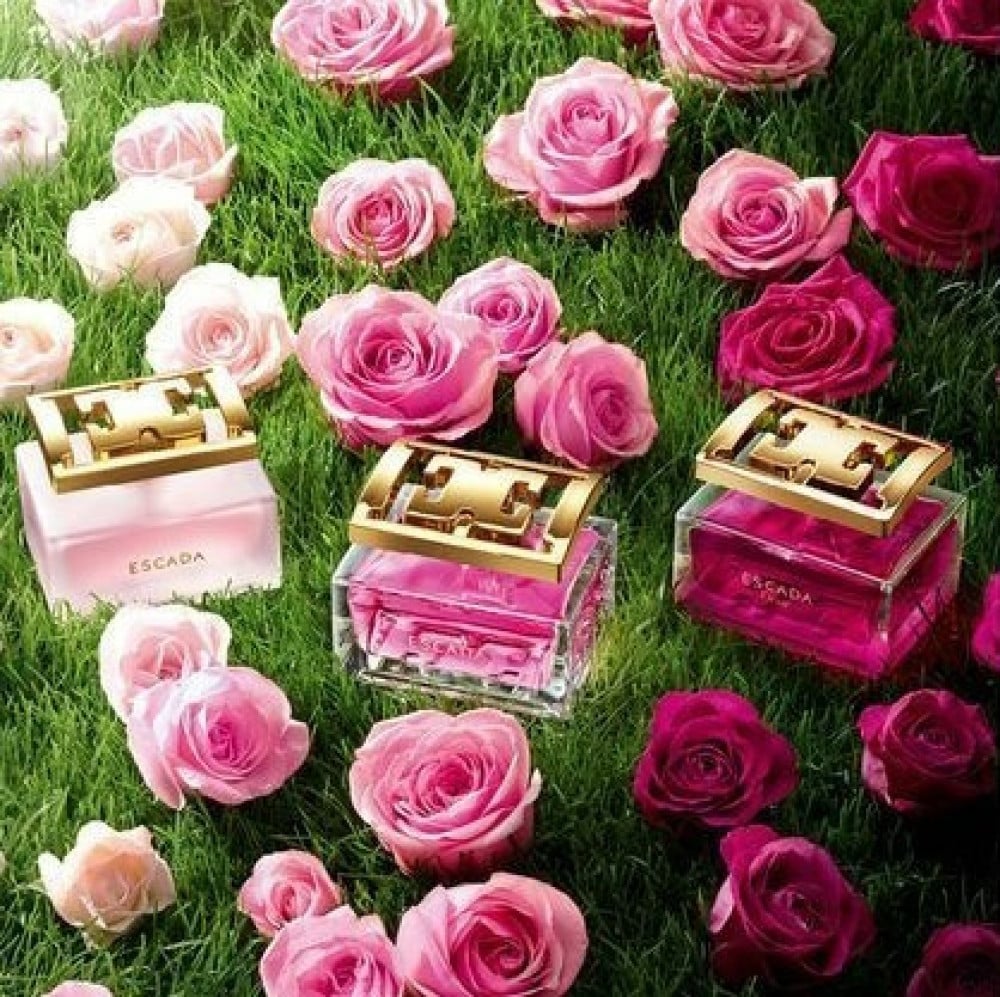 Escada Especially EDP For Women | My Perfume Shop Australia