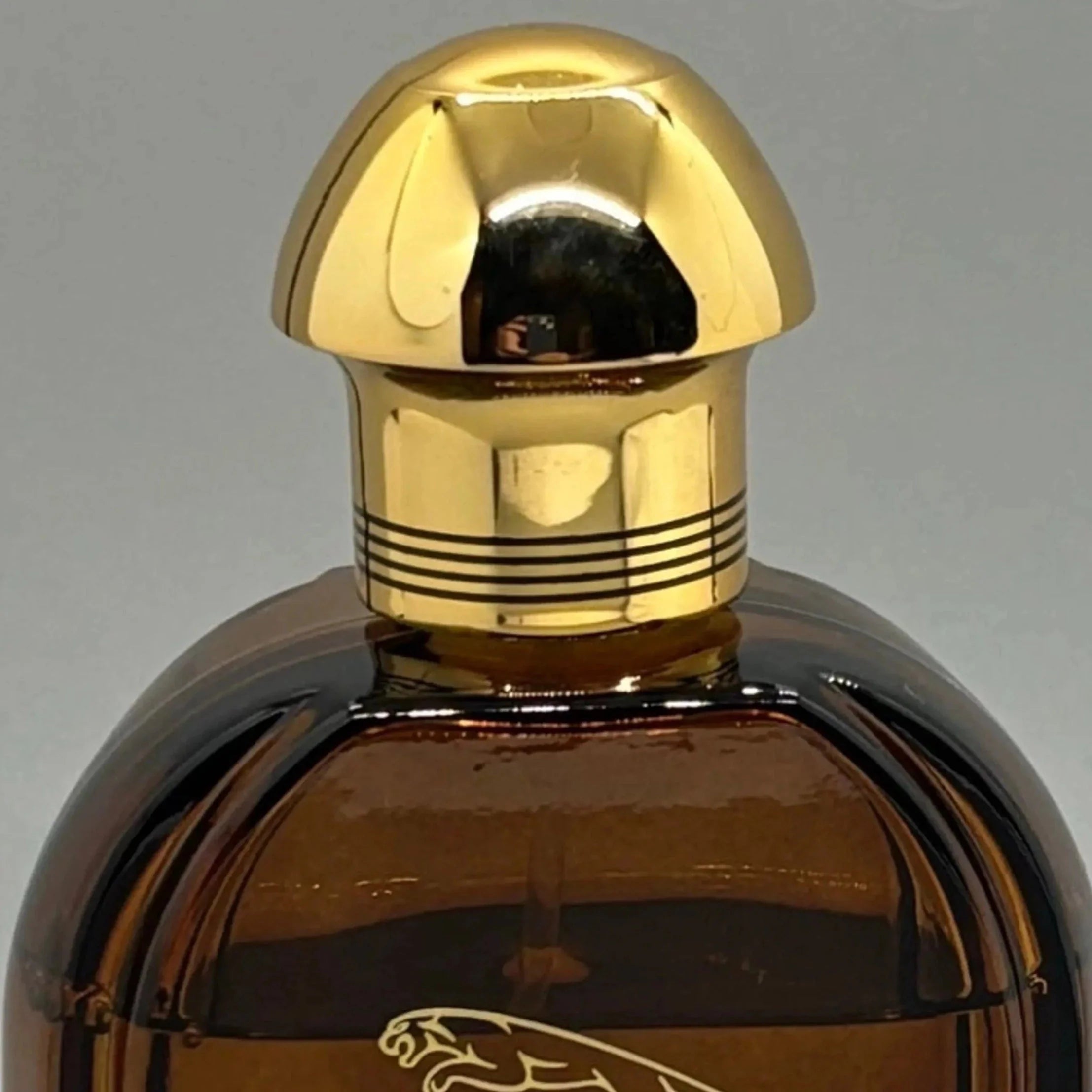 Jaguar Oud EDP | My Perfume Shop Australia