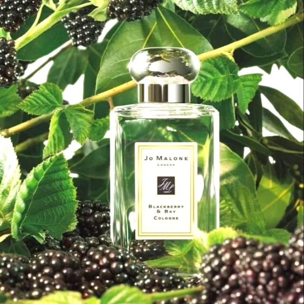 Jo Malone Blackberry & Bay Cologne | My Perfume Shop Australia