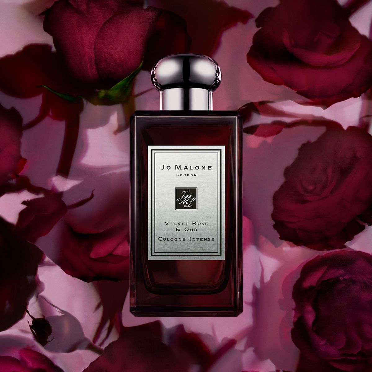 Jo Malone Velvet Rose & Oud Cologne Intense | My Perfume Shop Australia