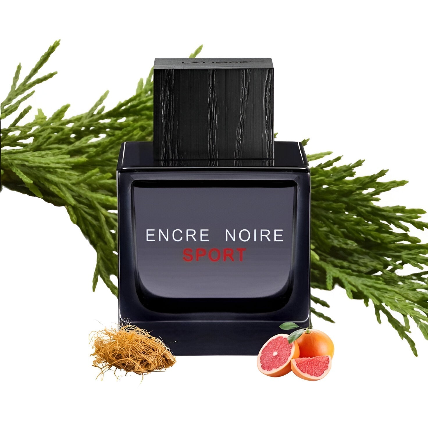Lalique Encre Noire Sport EDT | My Perfume Shop Australia