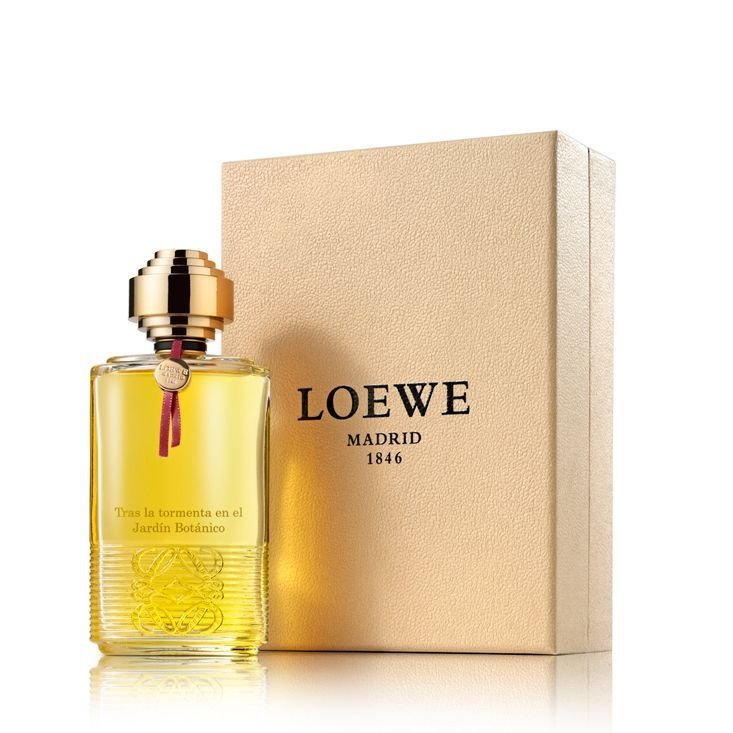 Loewe Tras La Tormenta Jardin Botanico Jardin Botanico EDP | My Perfume Shop Australia