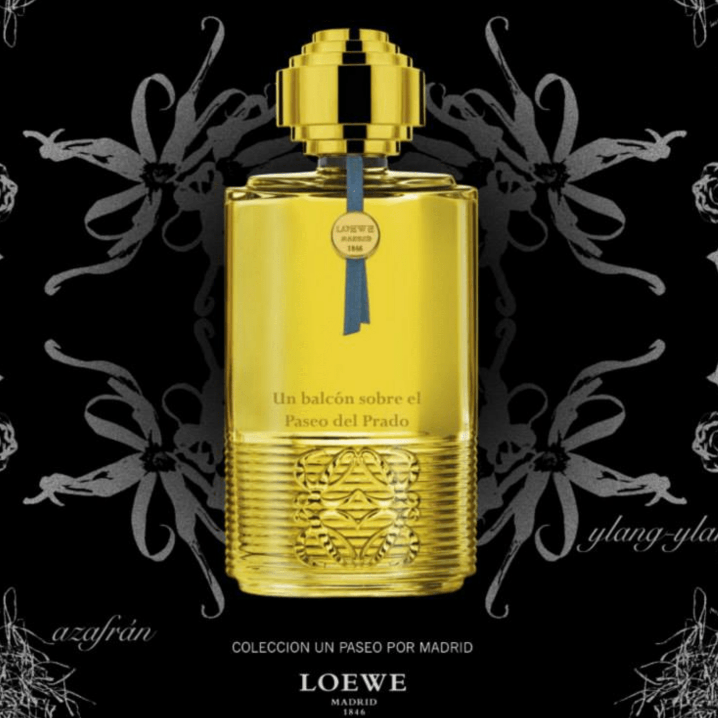 Loewe Un Balcon Sobre El Paseo Del Prado El Paseo Del Prado EDP | My Perfume Shop Australia