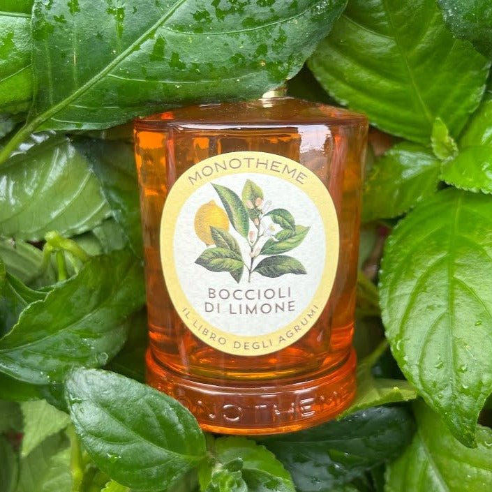 Monotheme Boccioli Di Limone EDT | My Perfume Shop Australia