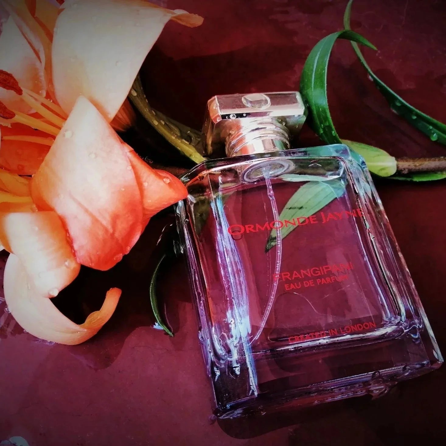 Ormonde Jayne Frangipani EDP | My Perfume Shop Australia