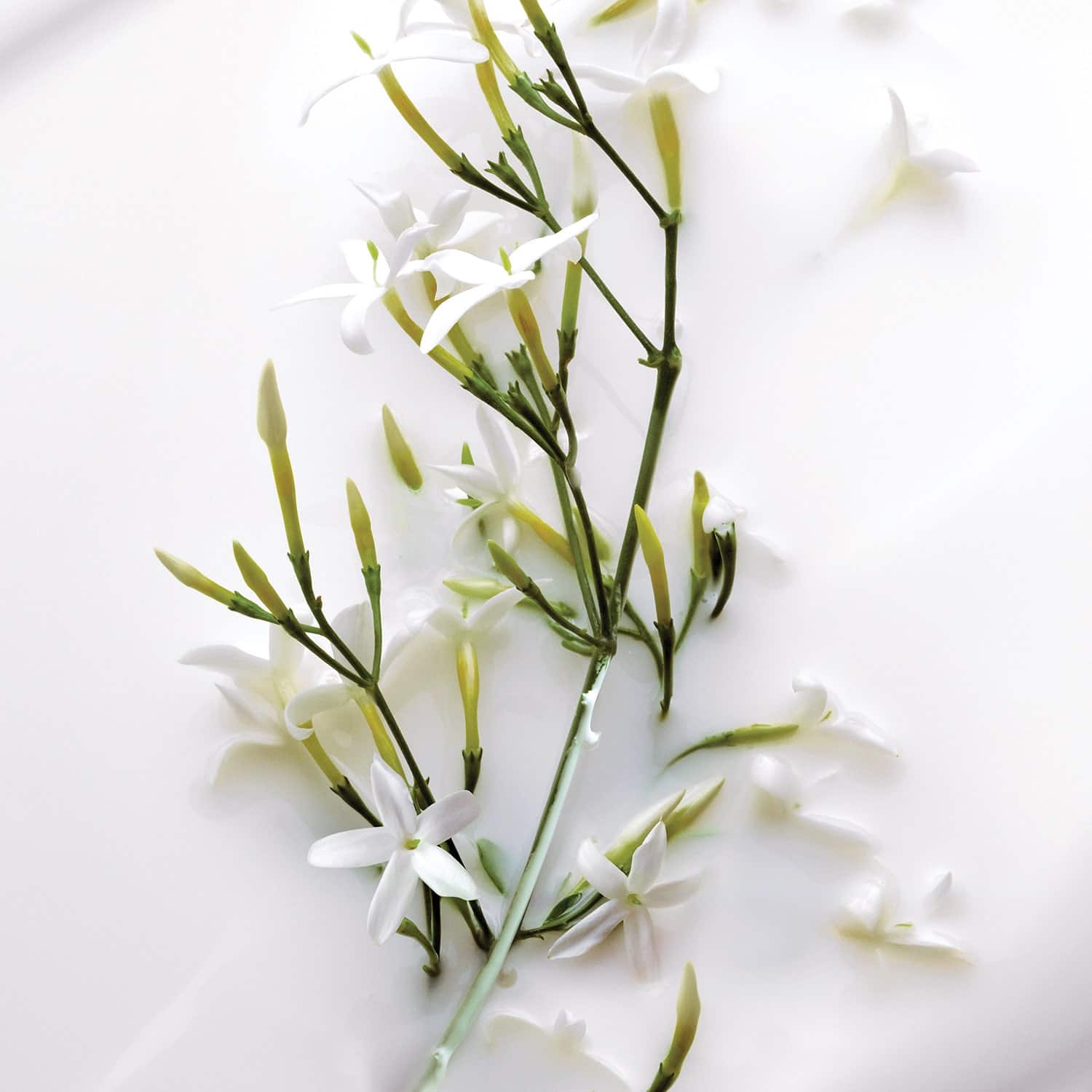 Dior J'Adore Parfum Hair Mist