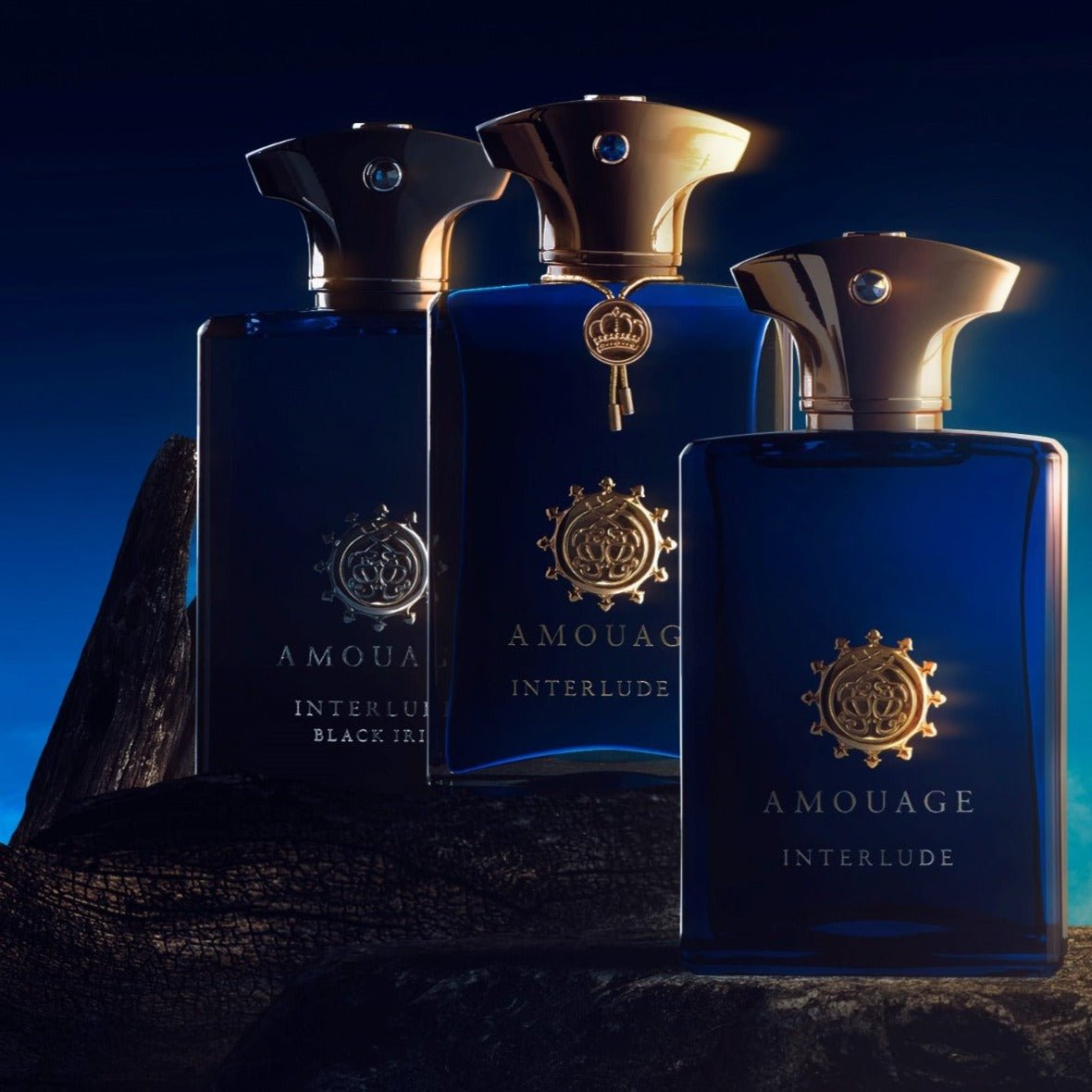 Amouage Interlude Black Iris EDP | Cost Plus Perfume