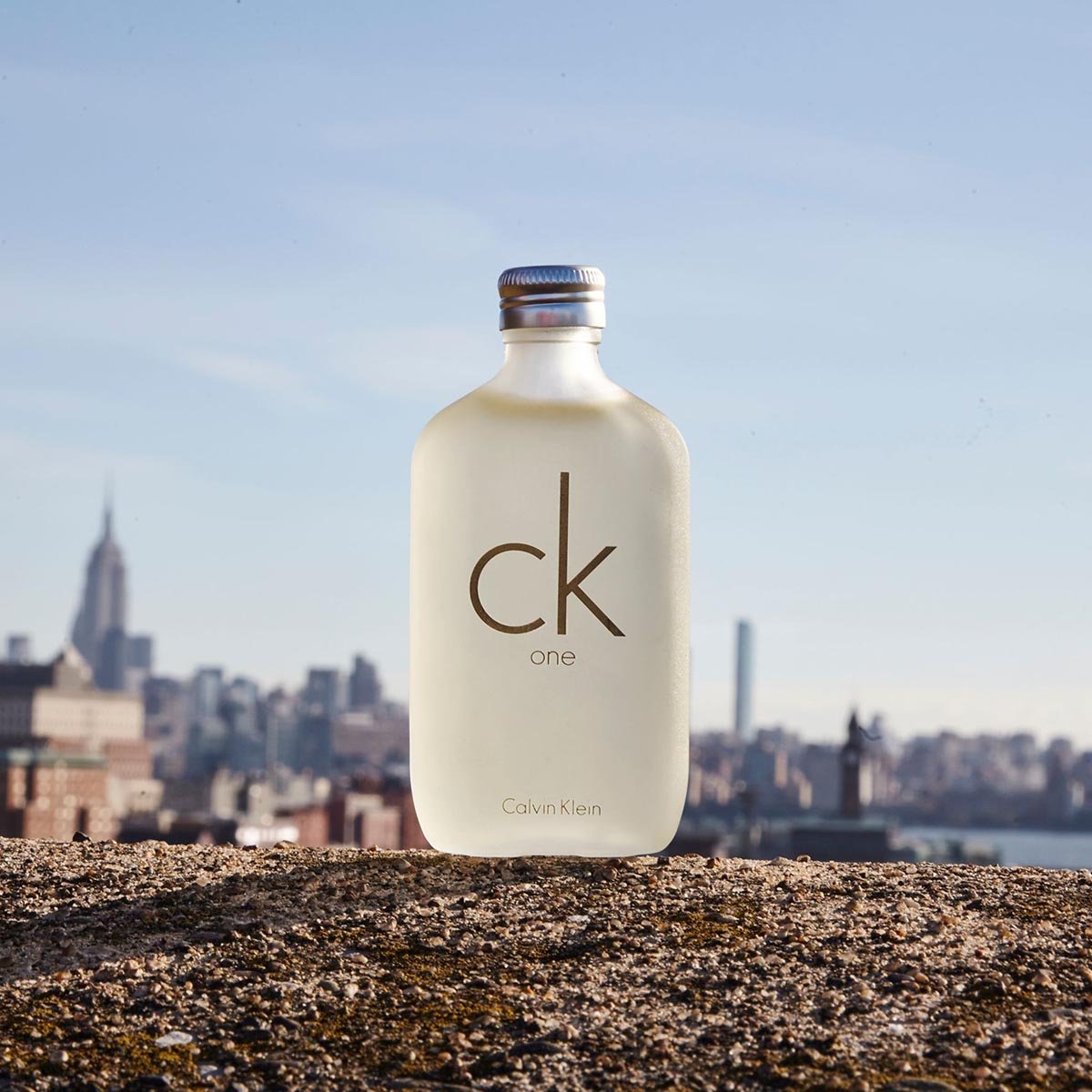 Calvin Klein Ck One EDT Travel Set | Cost Plus Perfume