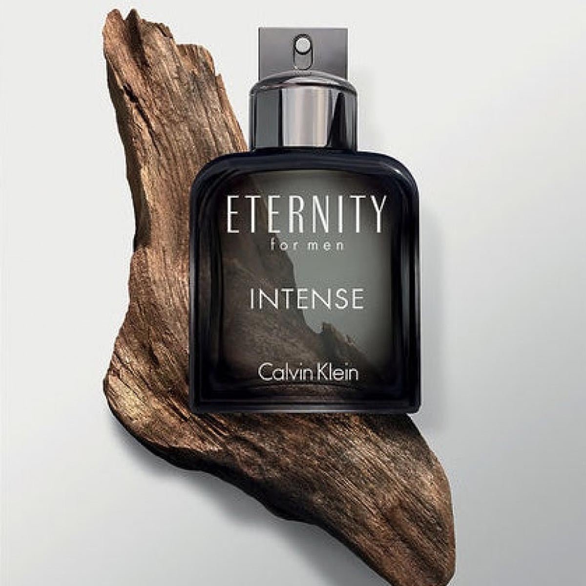 Calvin Klein Eternity Intense EDT | Cost Plus Perfume