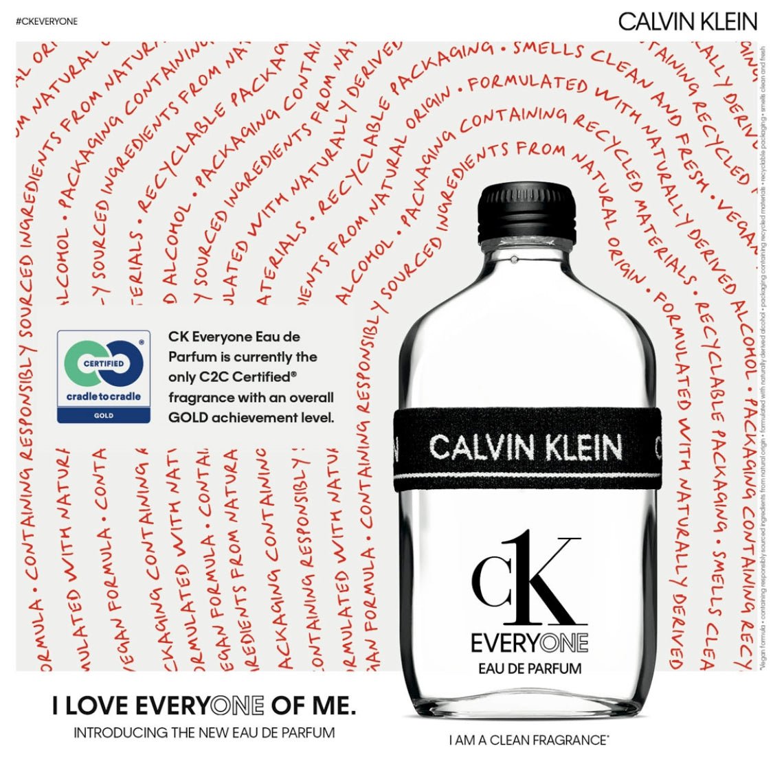 Calvin Klein Everyone Travel Set | Cost Plus Perfume