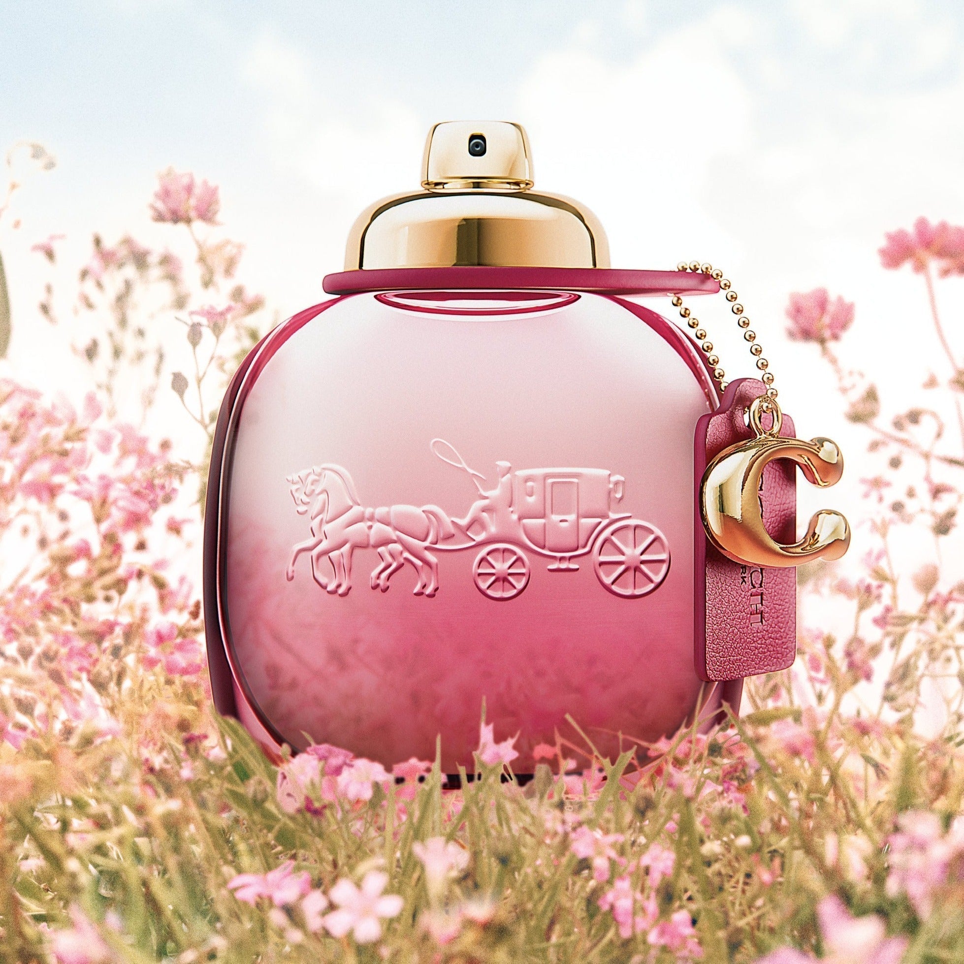 Coach Wild Rose EDP | Cost Plus Perfume