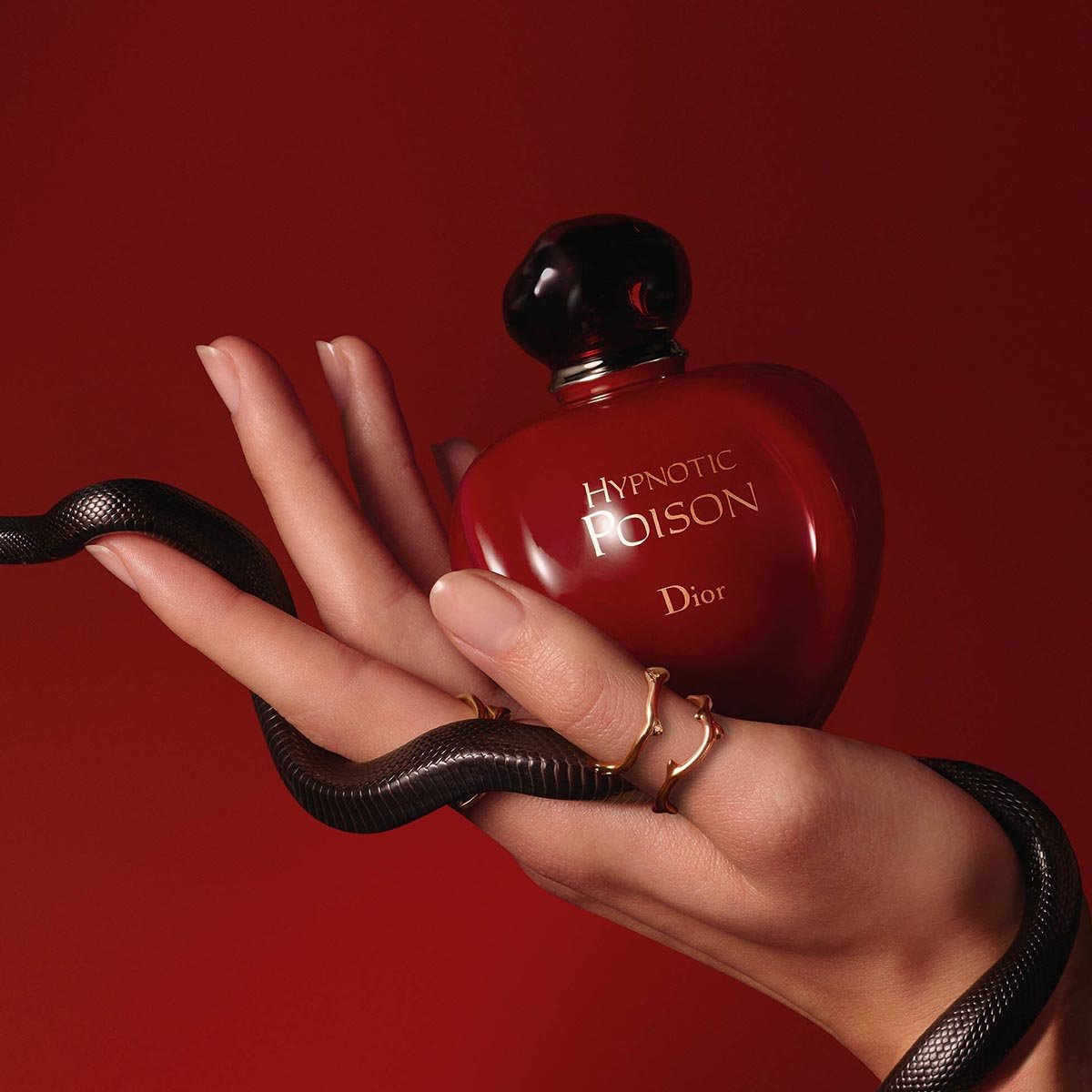 Dior Hypnotic Poison EDP | Cost Plus Perfume