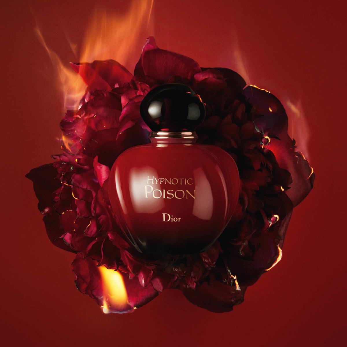 Dior Hypnotic Poison EDP | Cost Plus Perfume