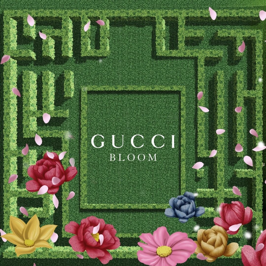 Gucci Bloom EDP Rollerball Gift Set - Cost Plus Perfume