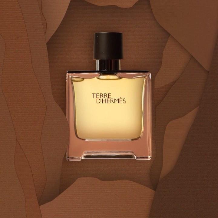 HERMÈS Terre d'Hermes EDP - Cost Plus Perfume