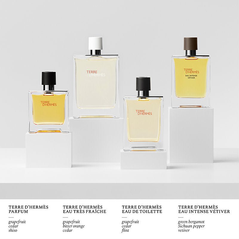 Hermes Terre d'Hermes Miniature Set | Cost Plus Perfume