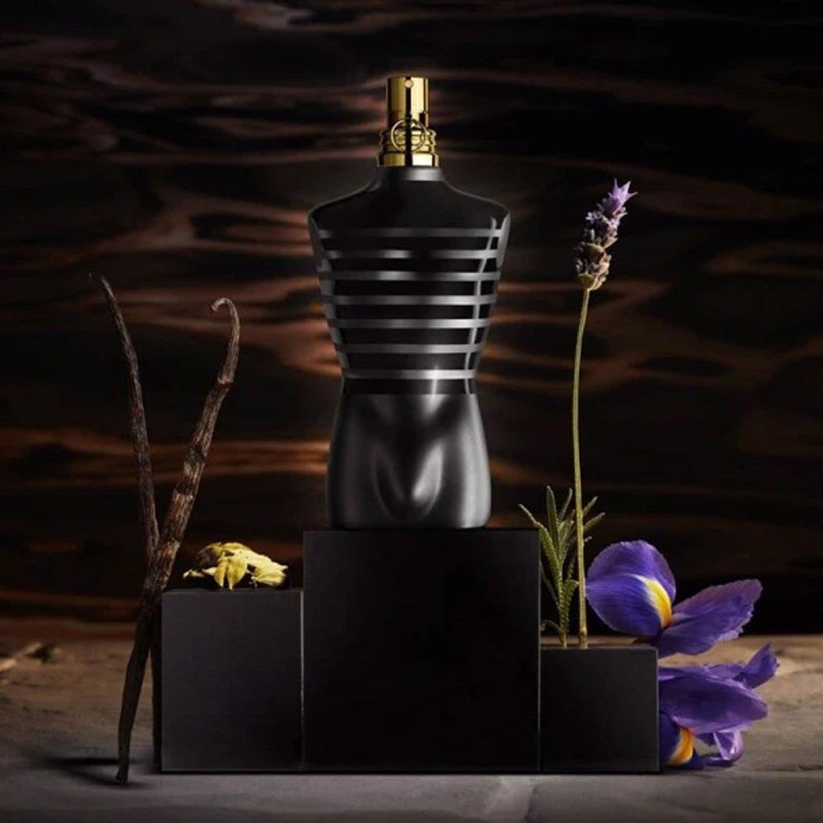 Jean Paul Gaultier "Le Male" Le Parfum Intense - Cost Plus Perfume