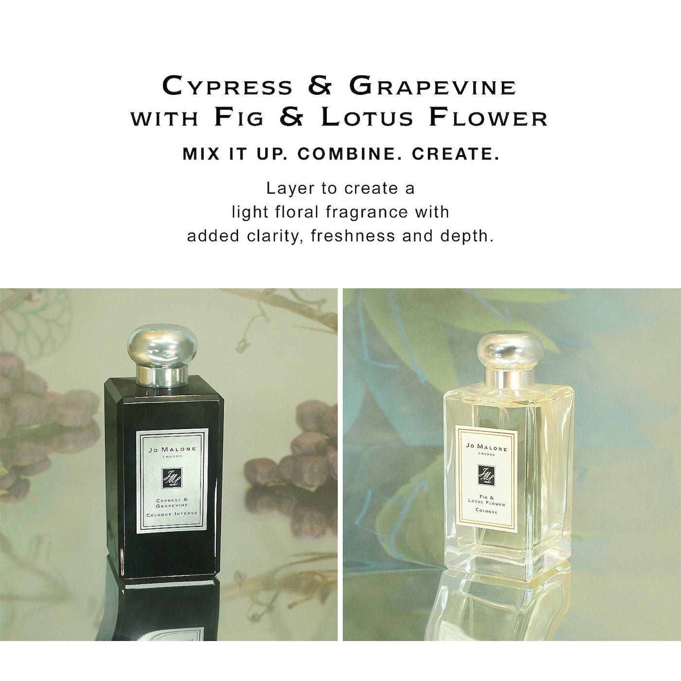 Jo Malone London Cypress & Grapevine Intense EDC | Cost Plus Perfume