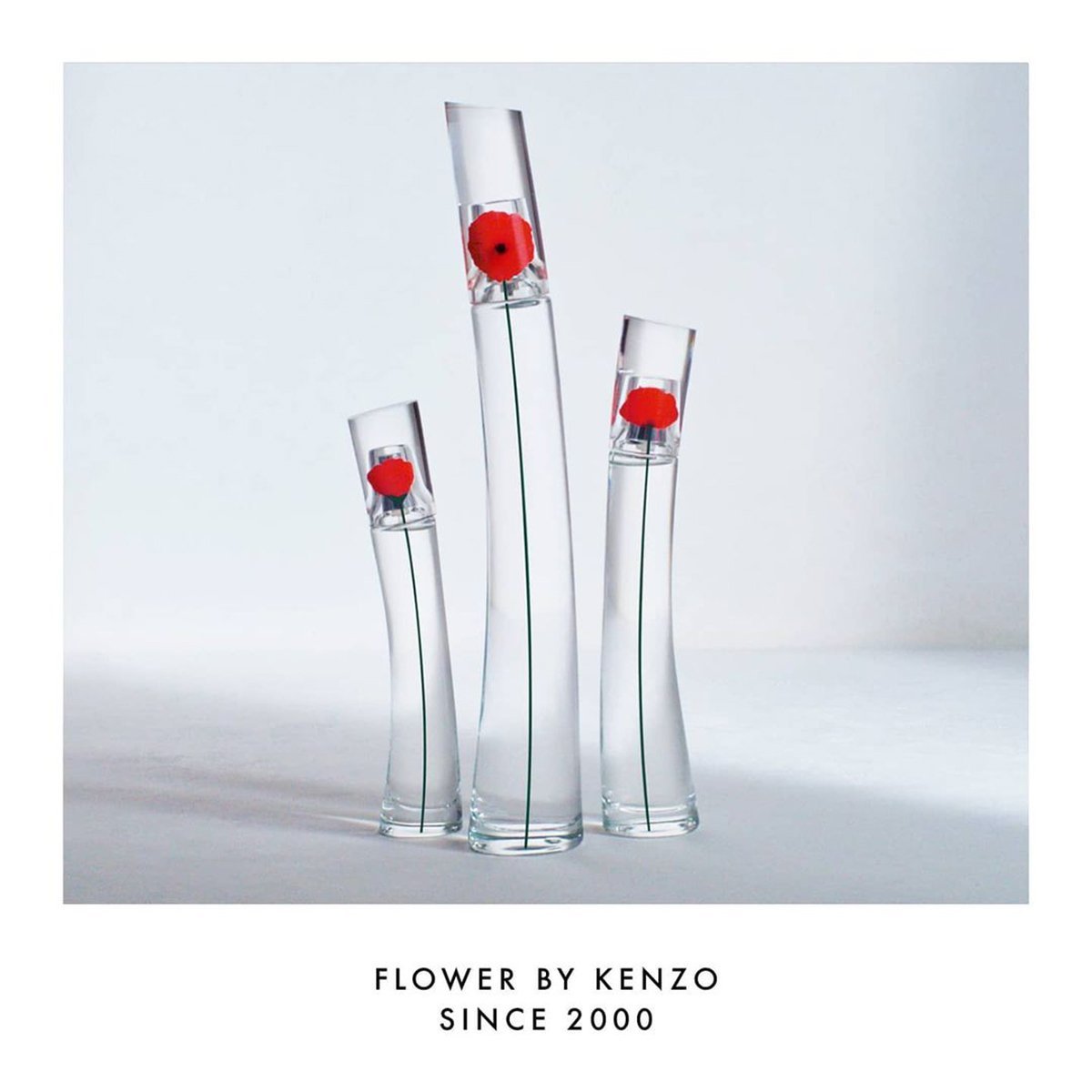 Kenzo Flower EDP - Cost Plus Perfume