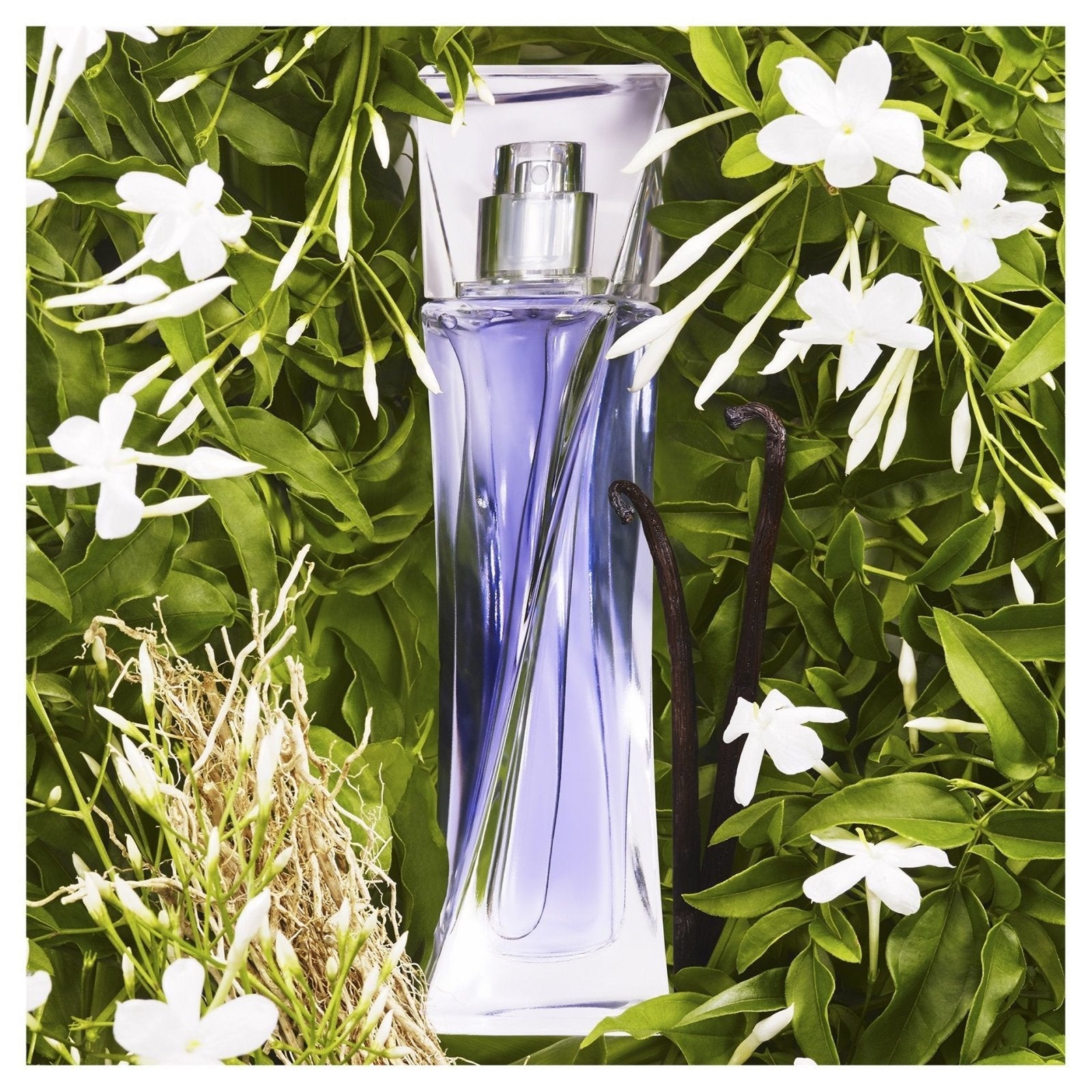 Lancome Hypnose EDP - Cost Plus Perfume