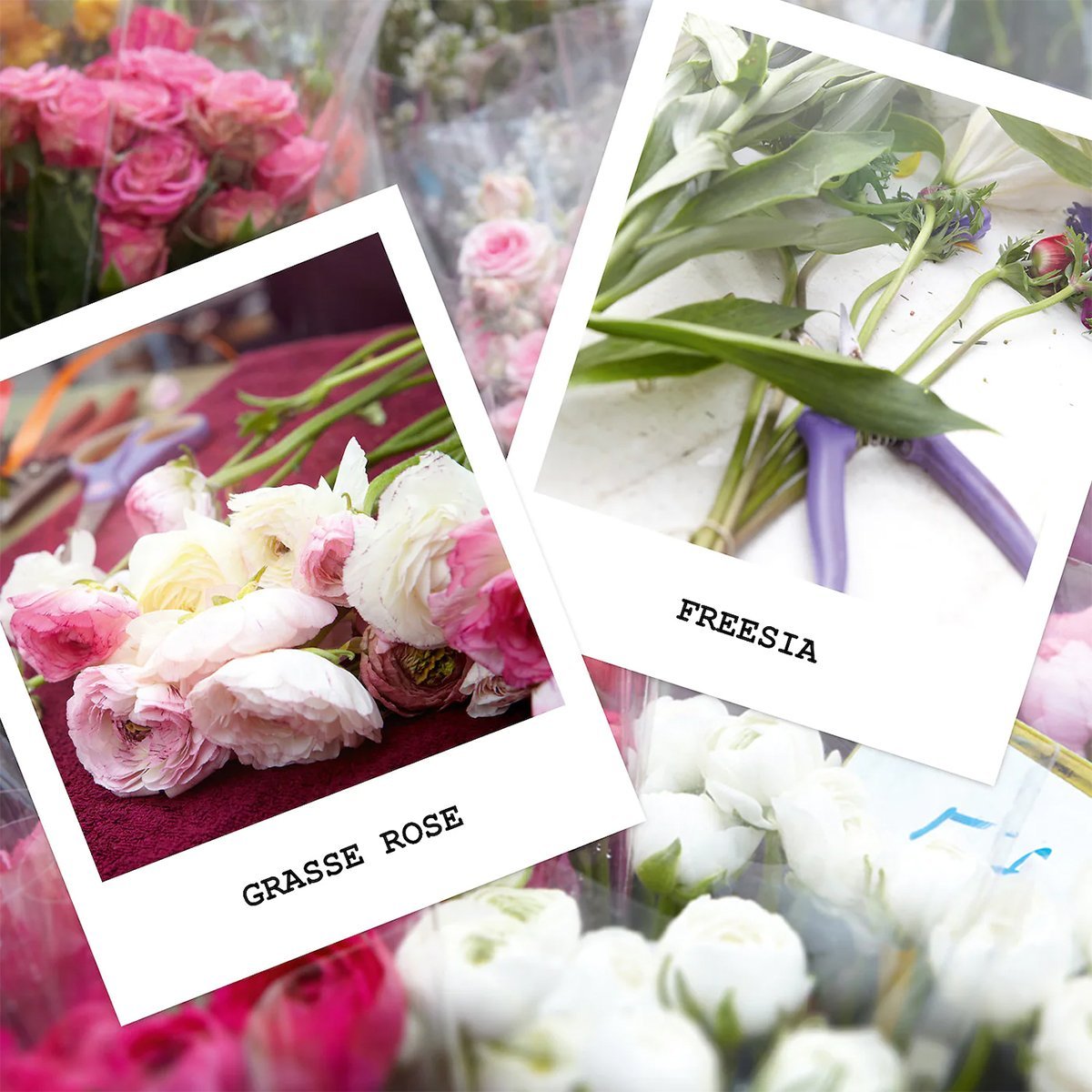 Maison Margiela 'Replica' Flower Market EDT - Cost Plus Perfume
