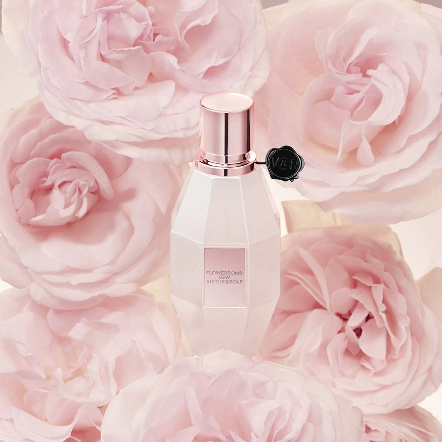 Viktor & Rolf Flowerbomb Dew EDP - Cost Plus Perfume